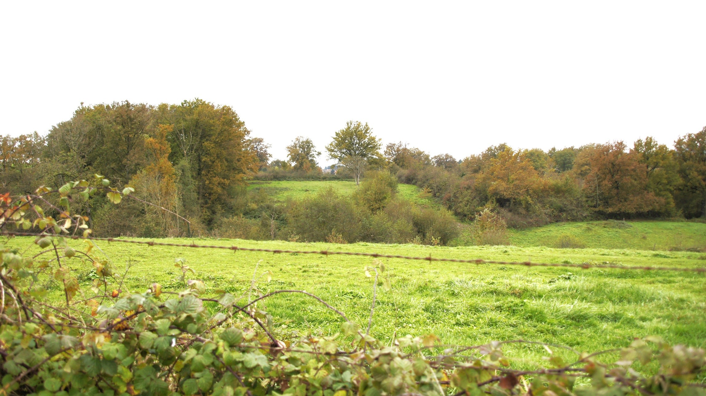 Campagne à Chassignol