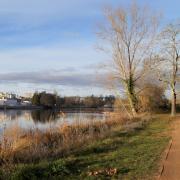 Chemin sur les bords de l'Allier