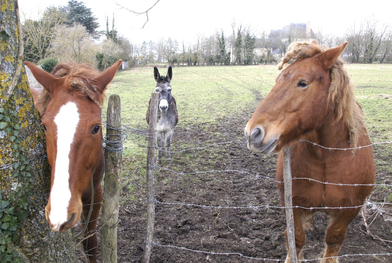 Des curieux sur le chemin à Effiat