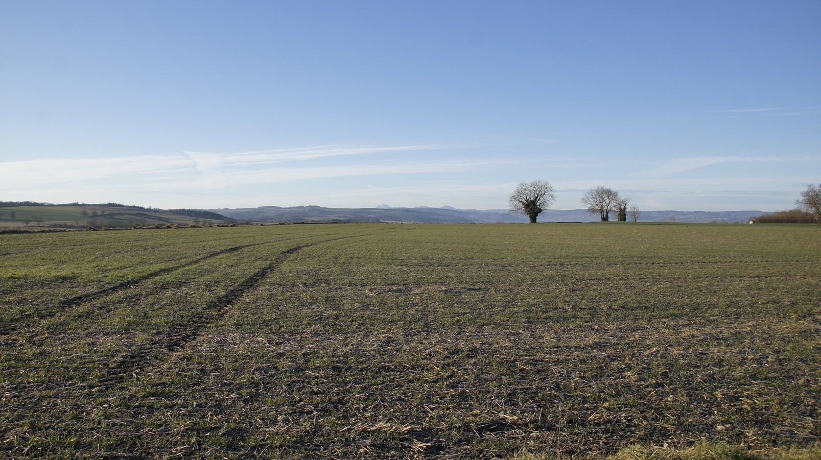 La campagne autour de Charroux