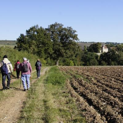 Les 7,5 kms vers le chateau de Ruillier