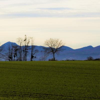 Paysage à Chaptuzat