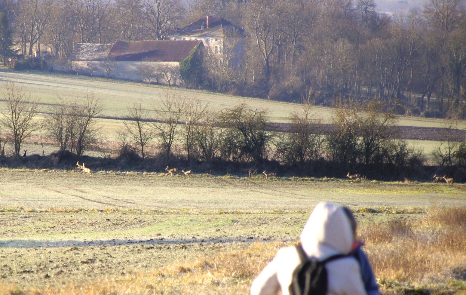 Sur les chemins de Charroux