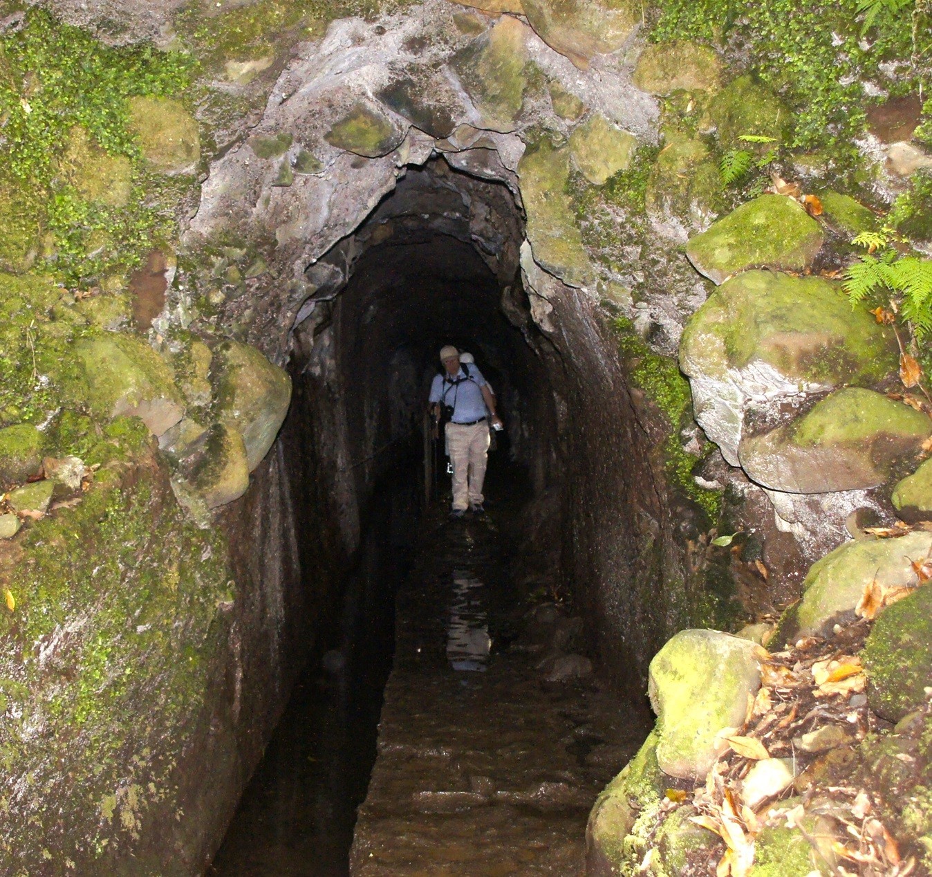 Tunnel le long des levadas à Madére
