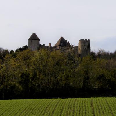 Vue sur le chateau de Chaptuzat